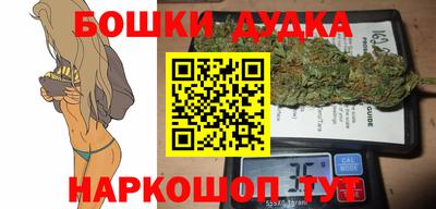МДПВ Будённовск
