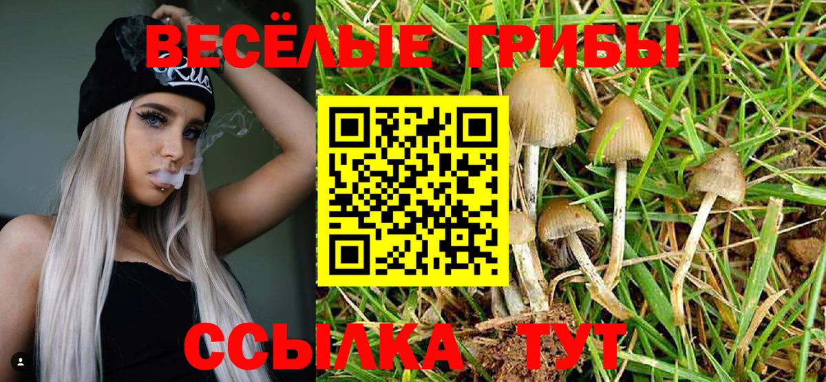 Псилоцибиновые грибы MAGIC MUSHROOMS  Вход с VPN  Псилоцибиновые грибы прущие грибы  Трёхгорный 